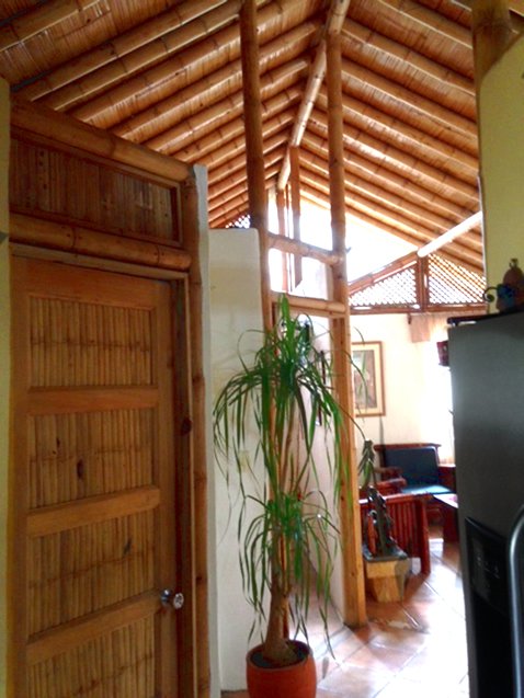 Construccion de Bambu