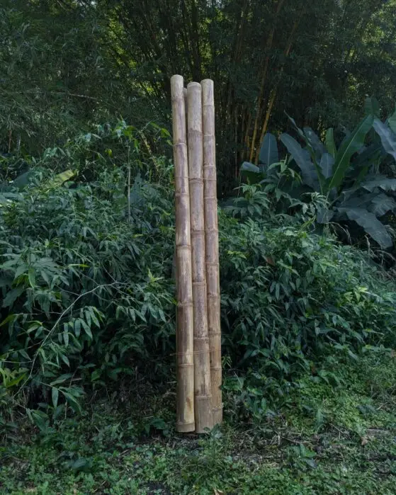 e82364ea-e7c9-4e9b-98f3-0173032a57a3